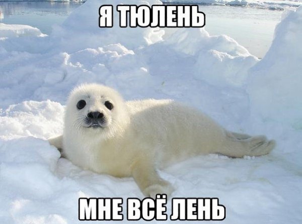 Если понравилось жми Нравиться и вступай в группу! fotostrana.ru/public/320769