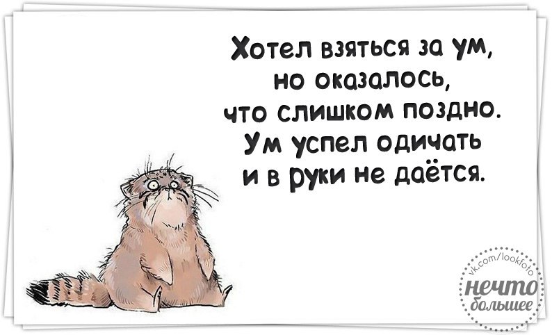 Откуда не возьмись. Не смогу взяться. Не смогу взяться. Вдруг откуда ни возьмись приколы. Вдруг откуда ни возьмись появилась я смирись картинки.