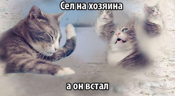  - 18  2015  09:27