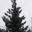 ���� ����, ����-�����������, 35 ��� - ��������� 19 ������� 2015 � ������ �������