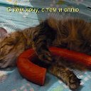 ���� Andrej, �������, 77 ��� - ��������� 2 ����� 2015 � ������ �;)�