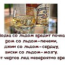  Viktor, , 41  -  11  2015    