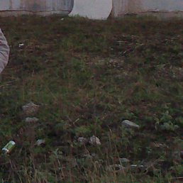 �����, ���������, 42 ����