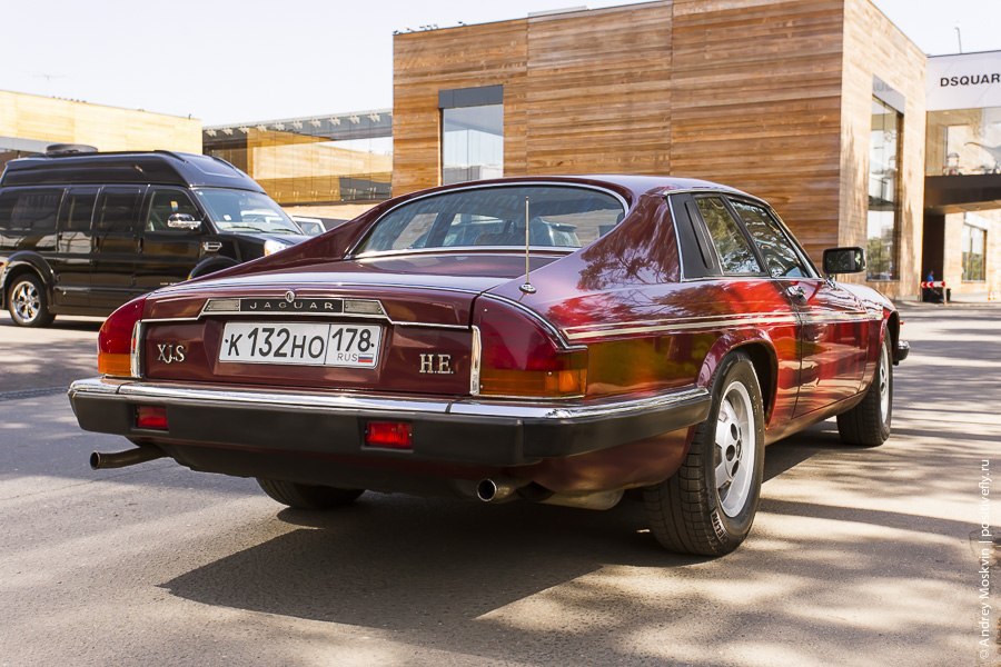 Jaguar XJS HE, 1983. : 260 /  100 /: 7.5  : ... - 2