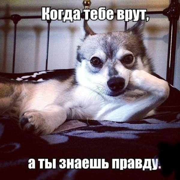    :-) - 30  2014  13:40