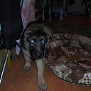 ���� Alexandr, �����-���������, 45 ��� - ��������� 11 ������� 2015 � ������ �����