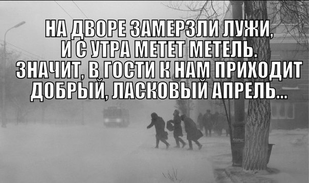   - 8  2015  11:30