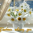 ���� �����!!������� ������, ������������ - ��������� 25 ������� 2015 � ������ �������� � ��� ������