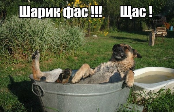   ,  : <a href=