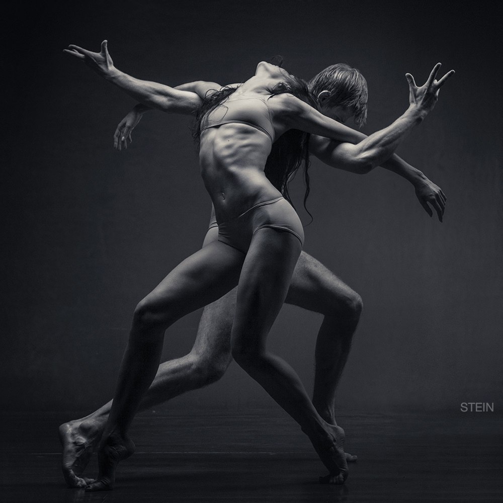  - Vadim Stein - 2