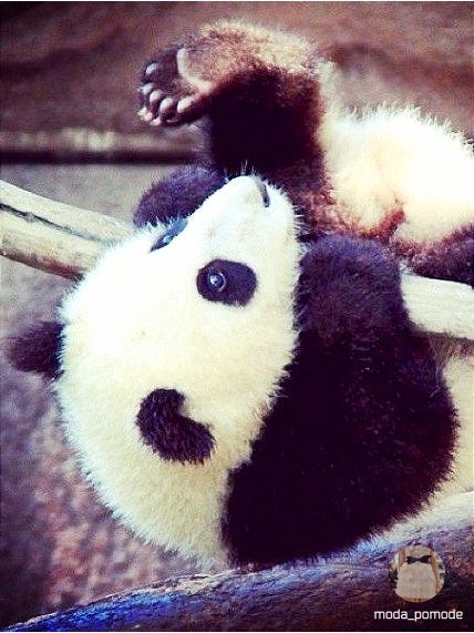    - 8  2015  01:33 - 6