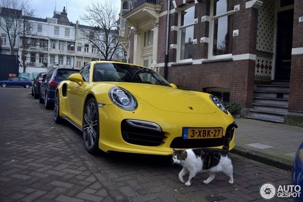 Porsche 991 Turbo - 6