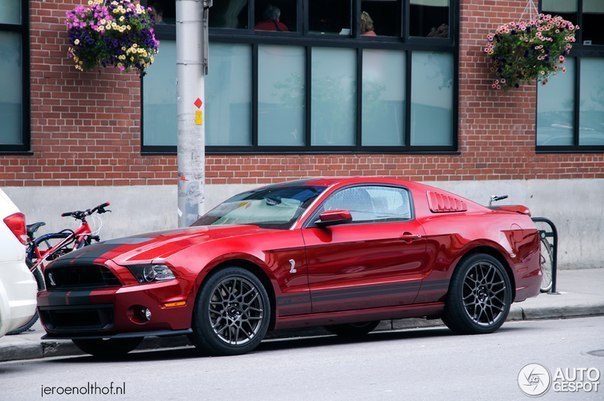 Ford Mustang Shelby GT500 - 3