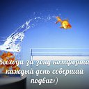  , , 64  -  25  2015      ,   !