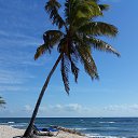 ���� �� ������� ��������