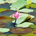 ���� ����, ����������� - ��������� 13 ������ 2015 � ������ ���� �����