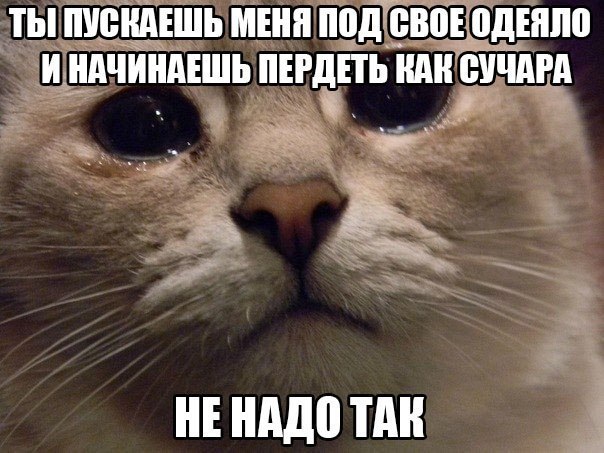 - 1  2015  10:38