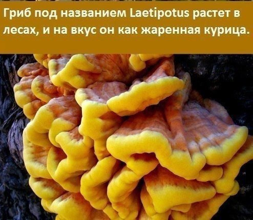    - 8