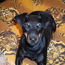 ���� ���, �������, 63 ���� - ��������� 25 ������ 2015 � ������ ���� ����������