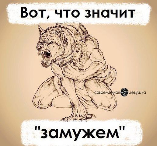  - 10  2015  19:02
