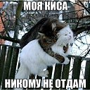 ���� ���������, ����, 48 ��� - ��������� 25 ������� 2015 � ������ ������ ��������
