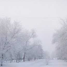 ���� ��������, ��������, 60 ��� - ��������� 13 ������� 2015