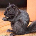 ���� ������, �������, 42 ���� - ��������� 8 ������ 2015