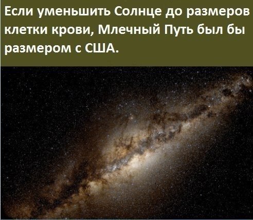    - 6