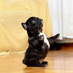 ���� ������, �����, 55 ��� - ��������� 19 ������� 2015