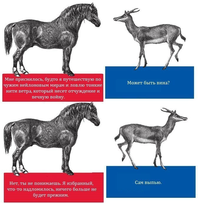    :-) - 16  2015  16:21