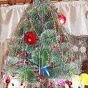 ���� 2014 �� ������� ���� ������� � ������ �������ܻ