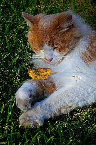 K K - 16  2014  16:47