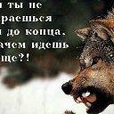 ���� ������, �������, 39 ��� - ��������� 2 ������ 2015