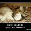 ���� ������, �����-���������, 50 ��� - ��������� 30 ������ 2015 � ������ ������ ��������