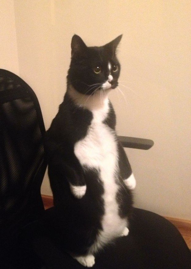  :3