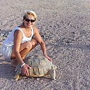 ���� ������, �������� - ��������� 25 ������� 2014