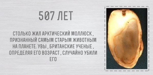    - 3