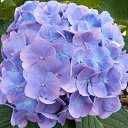 ���� �������, ������, 51 ��� - ��������� 22 ������� 2015 � ������ ���� ������