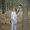  ,  , 28  -  1  2015   - 2012-2013