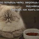���� N..., ����, 47 ��� - ��������� 16 ������� 2015 � ������ ������� �����.�