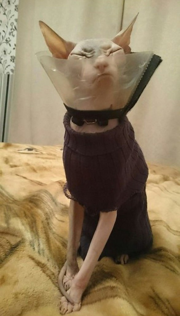         .     ?..