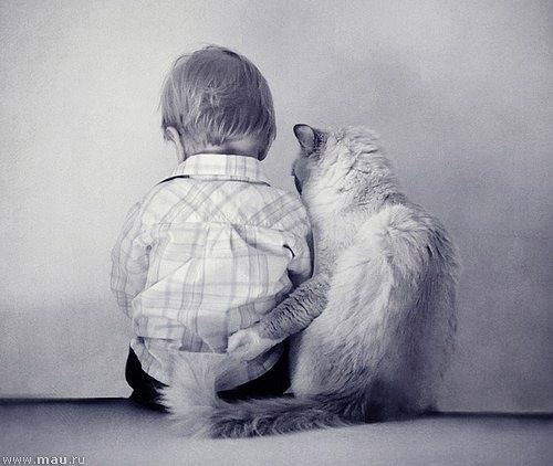 Art & Fun - 23  2015  07:16 - 5