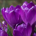 ���� *~*������� *~*, ������, 66 ��� - ��������� 8 ����� 2015 � ������ ������ ��������