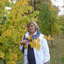 ���� ����, �������, 49 ��� - ��������� 24 ������ 2015 � ������ ���� ����������