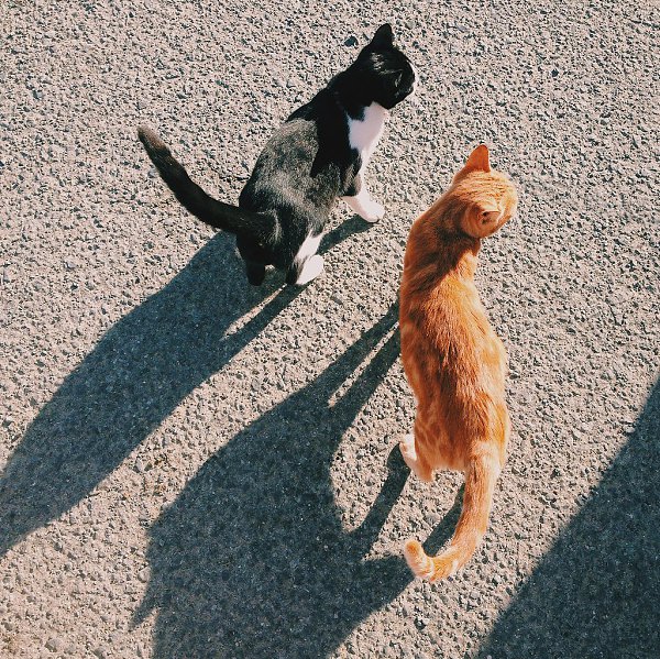  .            , ... - 5