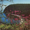 ���� ����, �������, 45 ��� - ��������� 2 ����� 2015 � ������ ������ ��������