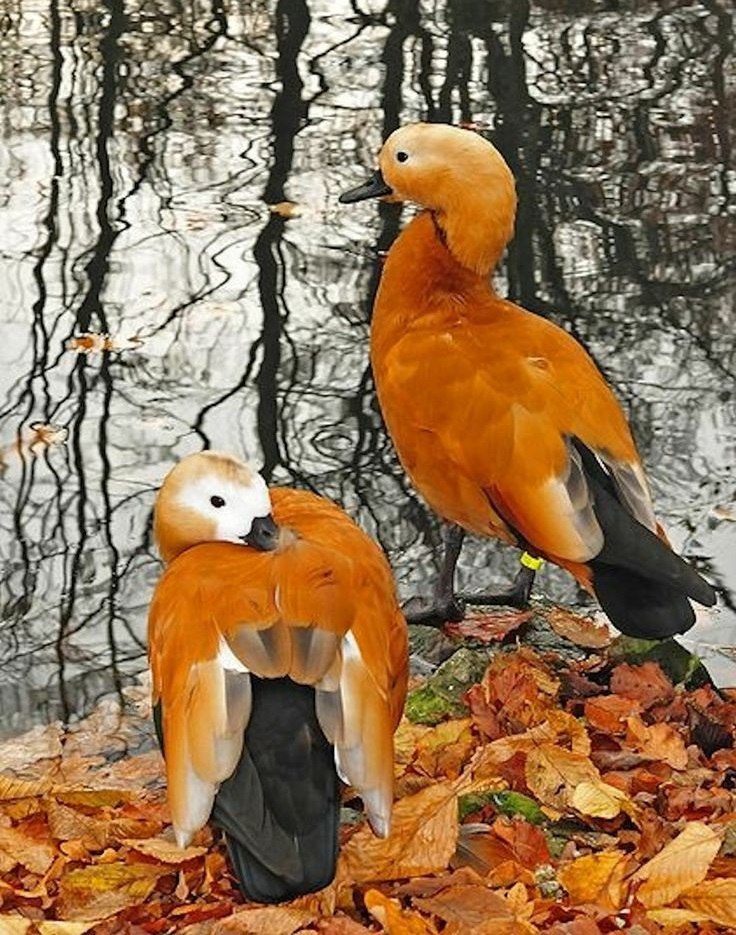    - 31  2014  11:01