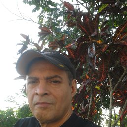  Arturo, , 53  -  14  2015
