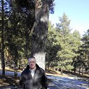 ���� ���������, ��������, 62 ���� - ��������� 25 ����� 2015 � ������ ���� ����������