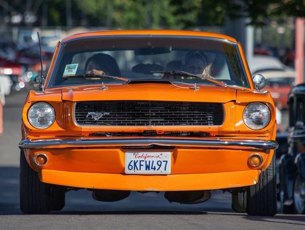 Shelby and Ford Mustang - 9